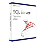 SQL SERVER 2019 standard
